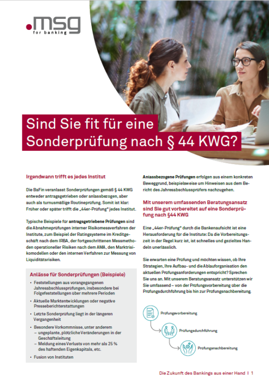 Flyer Sonderprüfungen §-44-KWG-Prüfung