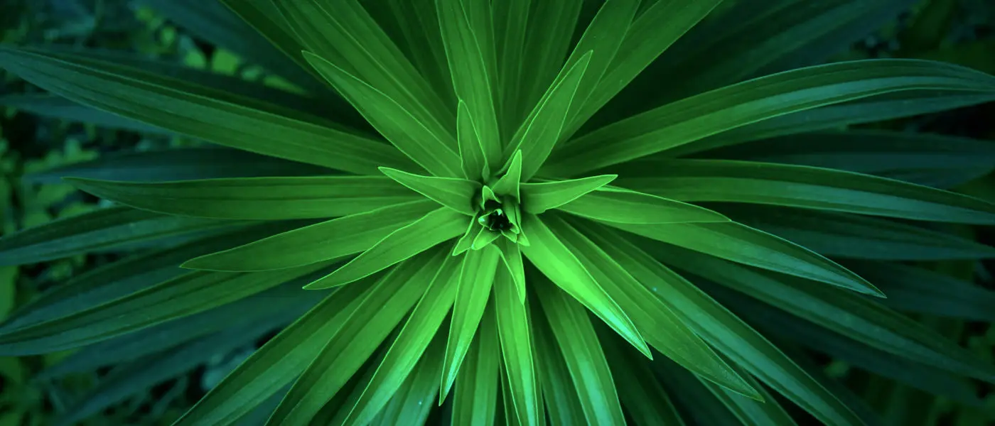 Interne Revision und ESG