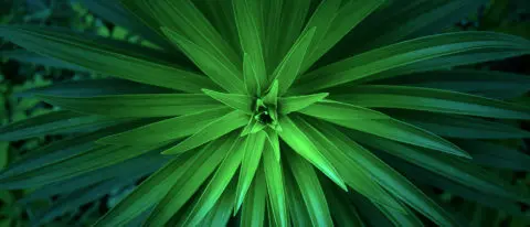 Interne Revision und ESG