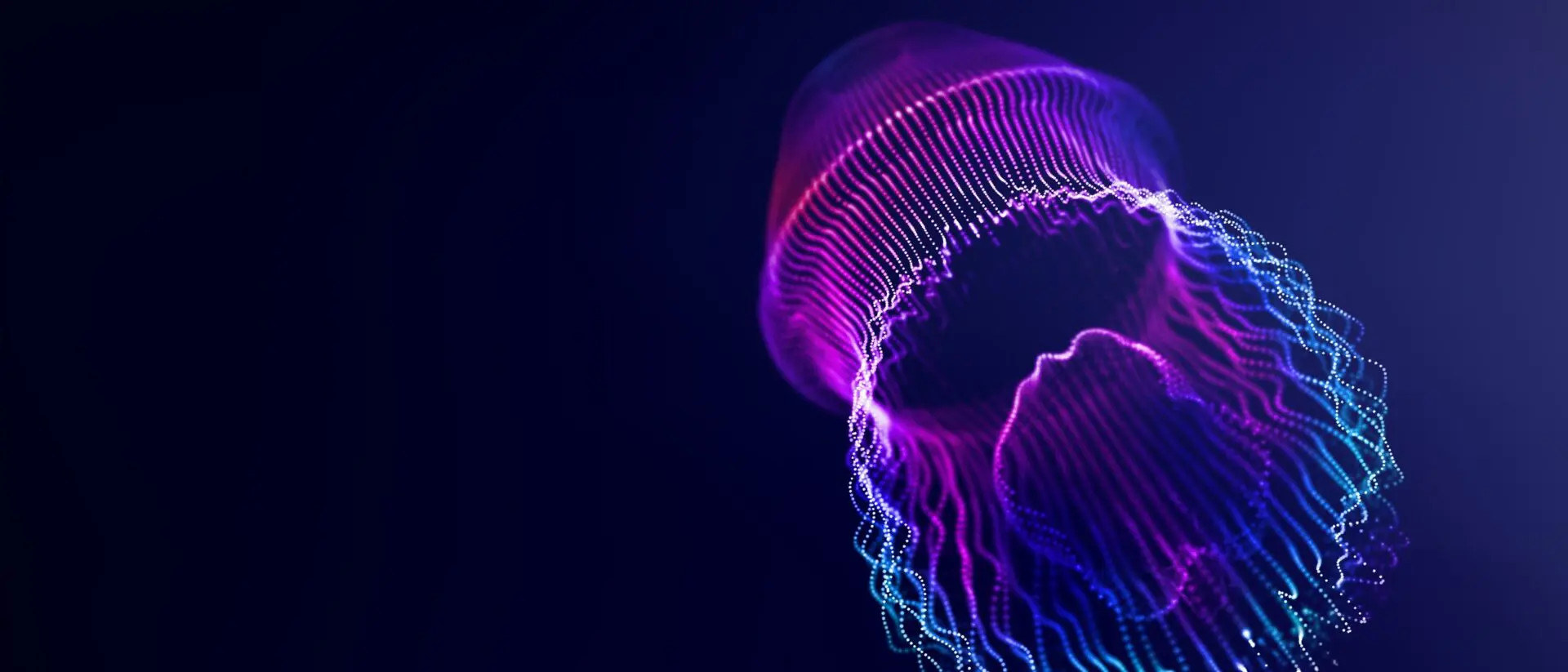 Qualle Banking der Zukunft