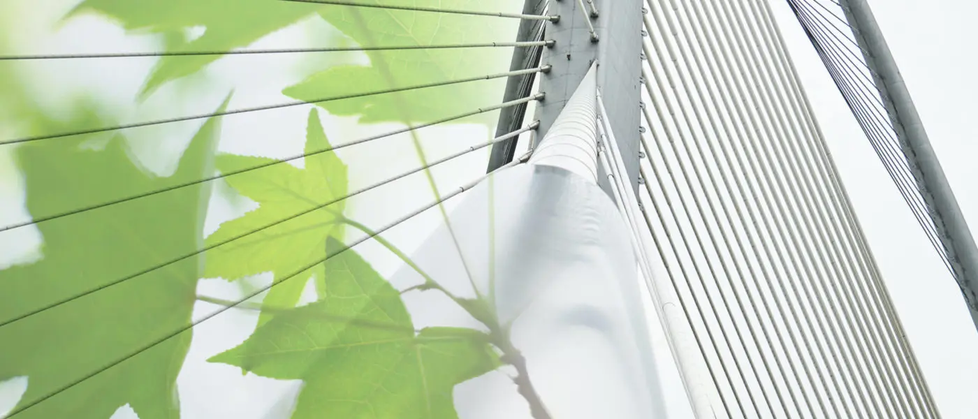 Blätter und Brücke