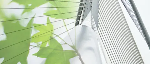 Blätter und Brücke