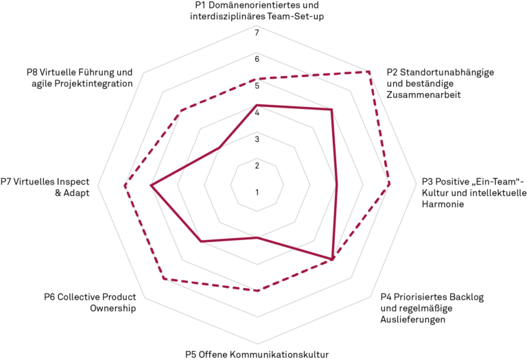 Verteilter agiler Reifegrad