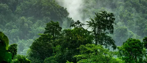 Sustainable banking - Status Quo