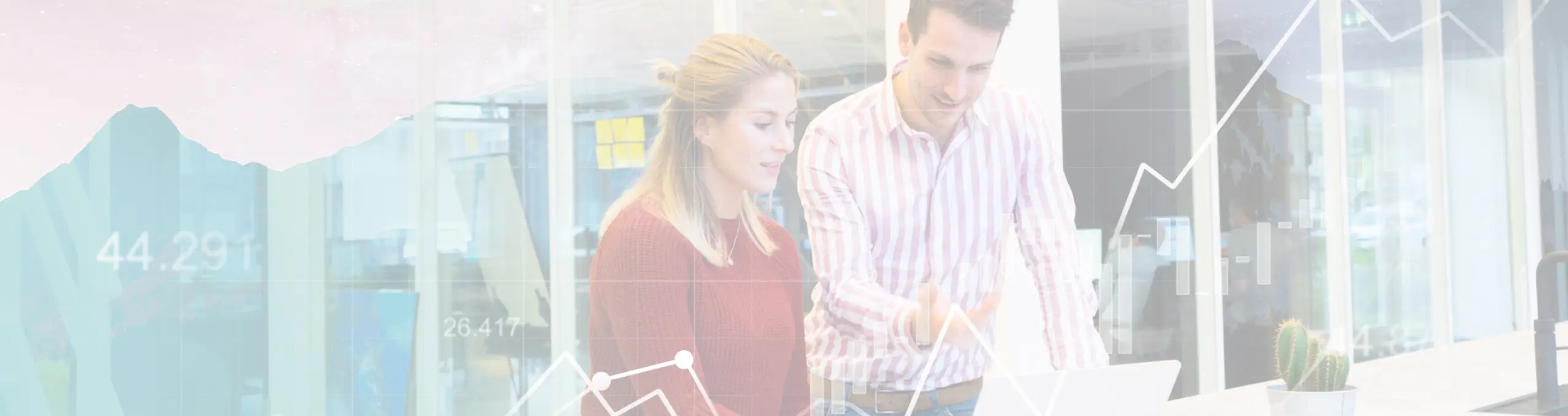 Salesforce-Consulting