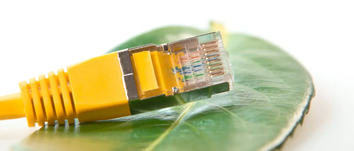 Netzwerkkabel auf Blatt