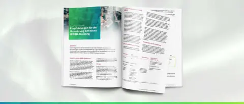 Umsetzung IRRBB-Meldung, NEWS 03-2023