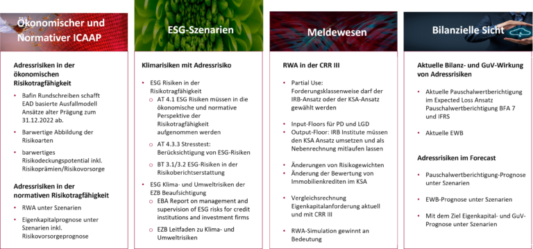 Abbildung 1: Fachliche Einordung der ESG-Klimastresstests im Konzept Adressrisiko, eigene Darstellung