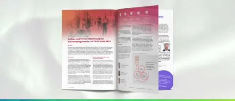 Praxisbericht Risikomanagement mit THINC in der SECB