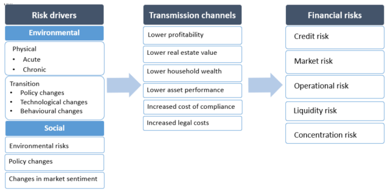 Risikotreiber und Transmissionskanäle