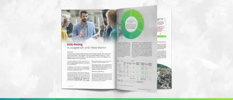 Artikel ESG-Rating