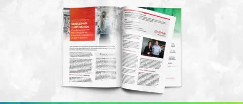 Artikel MARZIPAN meets Merlin