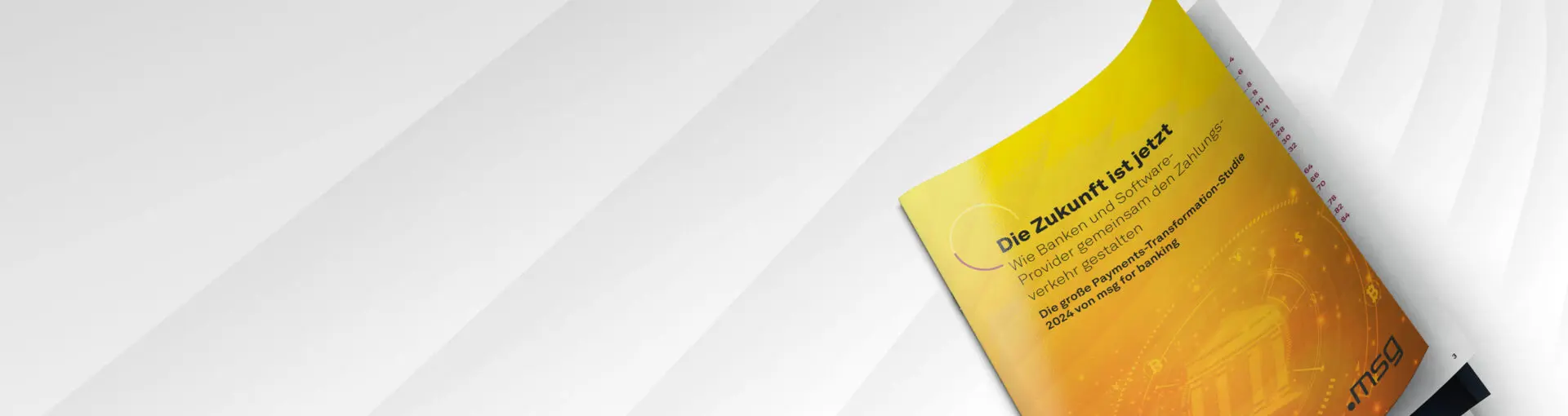 Payments-Transformation, Studie 2024