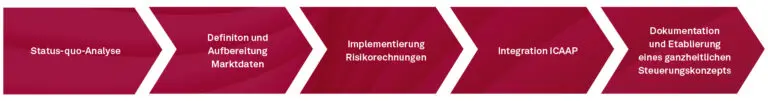 Idealtypisches Projektvorgehen Implementierung Kreditspreadrisiko-Messung und -Steuerung (CSRBB)