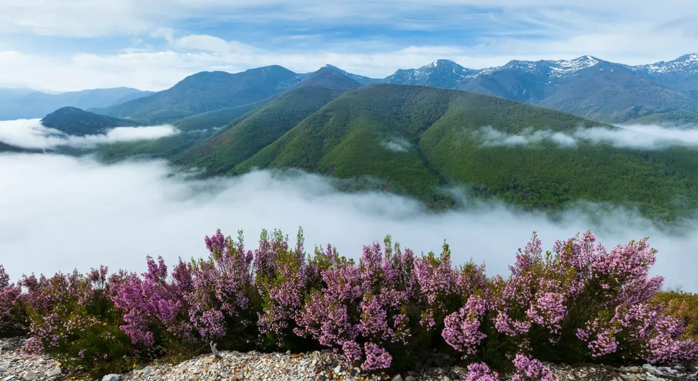 Biodiversität Europa Berge Landschaft