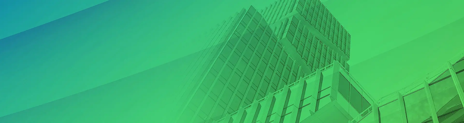 Asset & Treasury Management