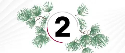 Online-Adventskalender 2024, 2. Dezember