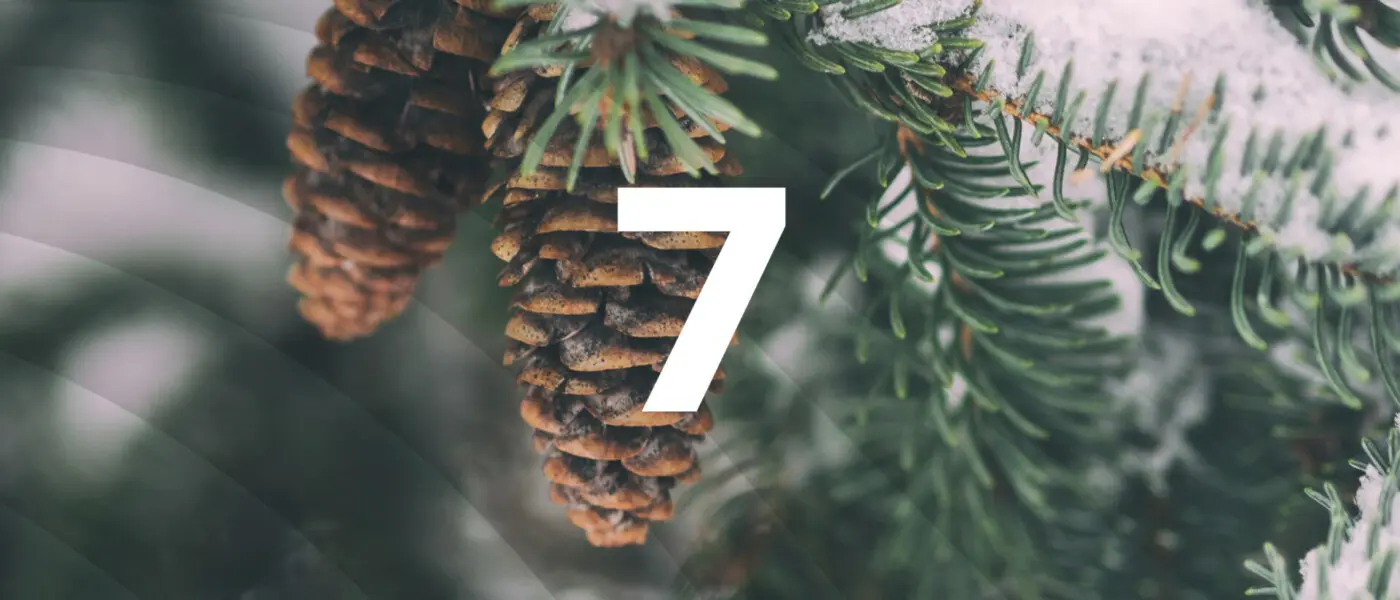 Türchen 7: Entwicklungen in der Kalkulation