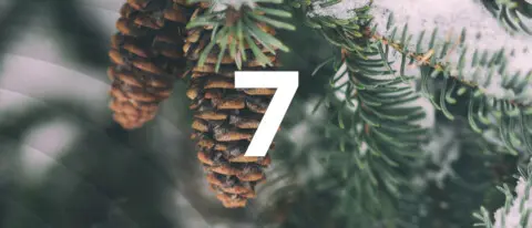 Türchen 7: Entwicklungen in der Kalkulation