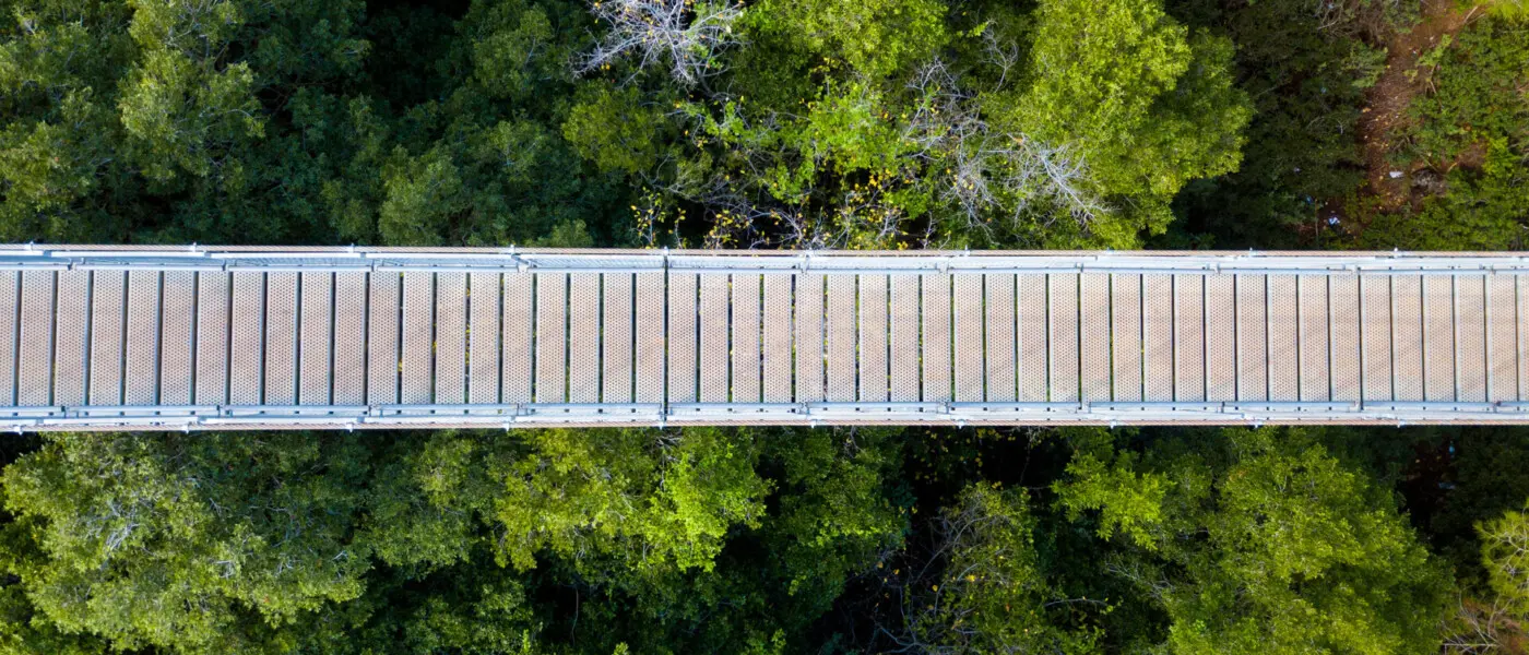 ESG-Risiken strategisch managen: Neue EBA-Anforderungen und die Rolle von (Transitions-) Plänen