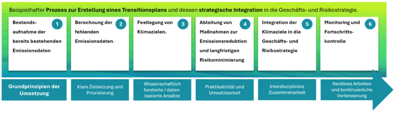 ESG-Risiken, Transitionspläne, Rozessablauf