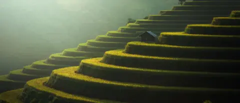 Blogbeitrag: ESG-Daten-Lücke bei Banken, Einfluss der Omnibus-Initiative und digitale Lösungsansätze