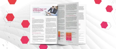 CSRBB im Eigen- und Kundengeschäft, NEWS 01/2025