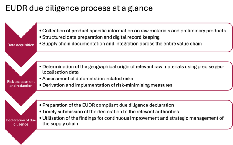 EUDR-Sorgfaltspflichtprozess im Überblick