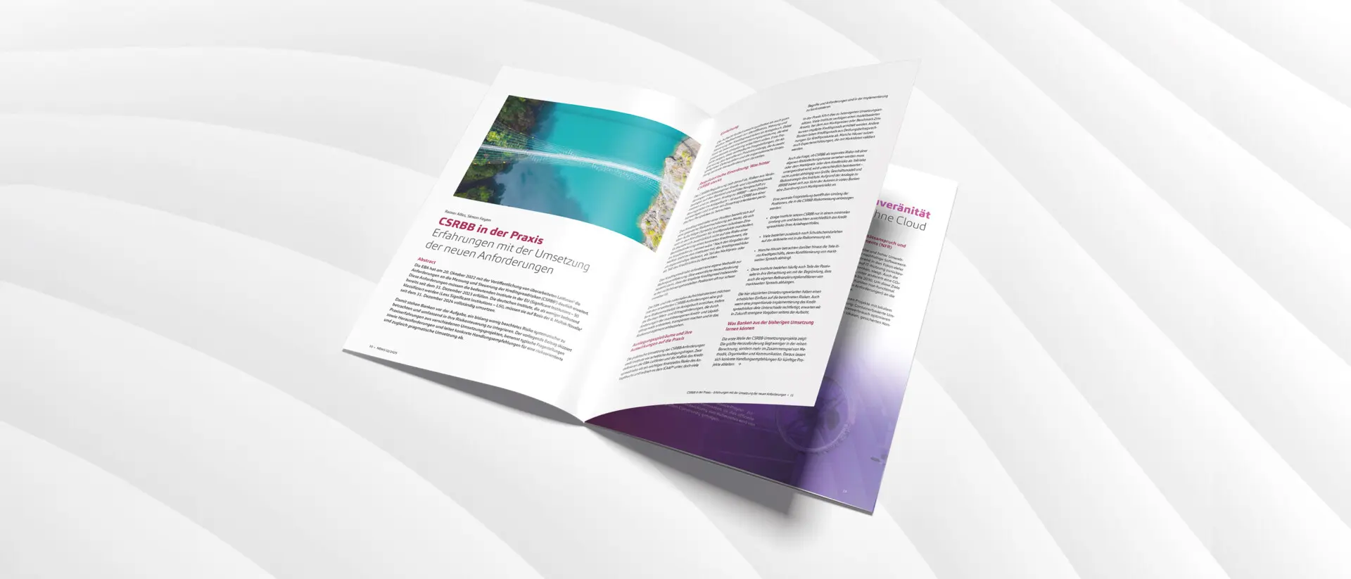 NEWS 02/2025, CSRBB in der Praxis